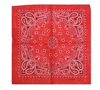 Zac's Alter Ego Alternative Retro Paisley Cotton Bandana/Neckerchief/Headtie/Face Mask