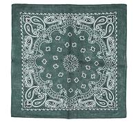 Zac's Alter Ego Alternative Retro Paisley Cotton Bandana/Neckerchief/Headtie/Face Mask