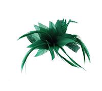 Zac's Alter Ego Colourful Fascinator with Feather on Clip & Brooch Pin