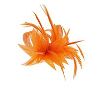 Zac's Alter Ego Colourful Fascinator with Feather on Clip & Brooch Pin