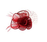 Zac's Alter Ego Colourful Lace & Net Fascinator with Feathers on Clip & Pin