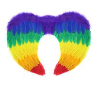 Zac's Alter Ego Fancy Dress Fairy Angel Rainbow Feather Wings
