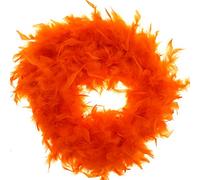 Zac's Alter Ego Fancy Dress Feather Boa - Great for Burlesque/Hen Dos