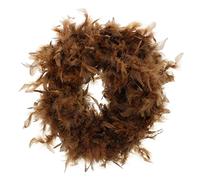 Zac's Alter Ego Fancy Dress Feather Boa - Great for Burlesque/Hen Dos