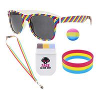 Zac's Alter Ego Gay Pride Festival 5 Piece Pansexual Colours Accessory Kit - Equaltiy