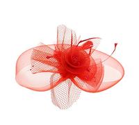 Zac's Alter Ego Lace & Net Fascinator with Feathers on Clip