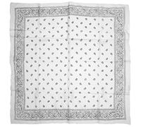 Zac's Alter Ego Lightweight Meter x Meter Retro Paisley Print Square Scarf/Shawl