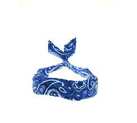 Zac's Alter Ego Paisley Design Vintage Look Wire Headband