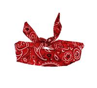 Zac's Alter Ego Paisley Design Vintage Look Wire Headband