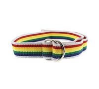 Zac's Alter Ego Rainbow Stripe Canvas Webbing Belt