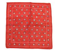 Zac's Alter Ego Vintage Style Winter Floral Print on Red Cotton Bandana