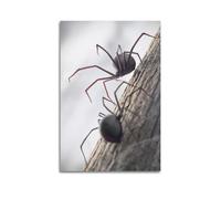 ZAHAABWS Black Widow Art Poster Poster Decorative Painting Canvas Wall Posters And Art Picture Print Modern Family Bedroom Decor Posters 12x18inch(30x45cm)
