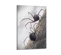 ZAHAABWS Black Widow Art Poster Poster Decorative Painting Canvas Wall Posters And Art Picture Print Modern Family Bedroom Decor Posters 08x12inch(20x30cm)