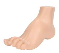 ZAICOLER Foot Model, Human Foot Model Adults Lifesize Teaching Research Human Skeletal Muscle Muscle Display Explain Accessories (Bow foot)