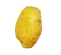 ZAICOLER Non- Squeak Pet Toy Teeth Cleaning Toy for Dog Stress Relief Simulation Vegetable for Pet Bite Resistant Canvas for Teeth Cleaning (Cat toys (short plush fabric))