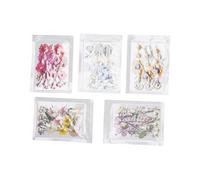 ZAICOLER Pressed Dried Flower Elegant Set for Crafts Scrapbooking Phone Cases, 100 Pcs Real Beautiful Pressed Flower for DIY Resin Craft, Birthday Gifts (Type 2)