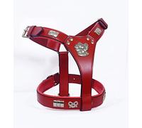 ZAIN TACK STAFF STAFFORDSHIRE STAFF LEATHER DESIGNER DOG HARNESS WITH STAFFY KNOT FULLY PADDED BRASS (CHROME PLATED) FITTING IN 6 COLORS (RED)