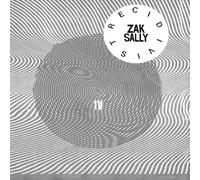 Zak Sally Recidivist IV Paperback Book Zak Sally Multicolor