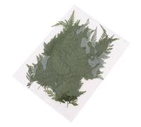 zalati 50pcs Dried Pressed Leaves for Crafts Dried Greenery Art DIY Handmade Bookmarks Resin Soap Candle Paper Making Embellishment Decorations