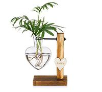 zalati Glass Vase Love Heart with Wooden Stand for Desktop Planter Bud Hydroponic Plant Home Garden Office Decoration