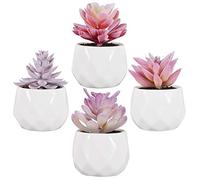 Zalava Artificial Succulent Plants, Artificial Plants Faux Succulent Plastic Grass Collection with Pot for Table House Balcony Office Fake Plants Decoration (4Pcs Purple-S)