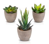 Zalava Artificial Succulent Plants, Fake Succulents Plants, Decorative Faux Succulent Plants with Pot for Wedding Office Home Garden Indoor and Outdoor Decoration (3Pcs Succulent)