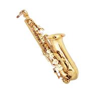 ZALHIN saxophone Alto Saxophone Instrument For Beginners Alto Saxophone Entry Level In E Flat Key