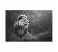 ZAMAEIU Animal Pictures For Wall, Lions Shadow, art prints and posters, Suitable for Living Room Bedroom Decor Kid's Room Wall Decoration(grey)-60x90cm Unframed