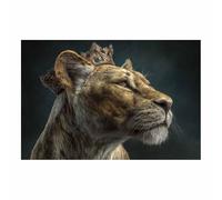 ZAMAEIU Animal Wall Art, Lions King's Might, animal wall art prints, Suitable for living room, bedroom, Apartment Corridor Office etc.(brown)-20x30cm Unframed