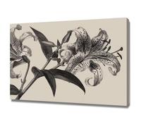 ZAMAEIU Canvas Wall Art Abstract Botanical Green Leaf lilyss line drawing Artwork Living Room Office Home Decoration(black)-20x30cm Framed