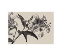 ZAMAEIU Canvas Wall Art Abstract Botanical Green Leaf lilyss line drawing Artwork Living Room Office Home Decoration(black)-30x50cm Unframed