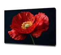 ZAMAEIU Canvas Wall Art Abstract Botanical Green Leaf Single-petal poppies Artwork Living Room Office Home Decoration(red)-50x70cm Framed
