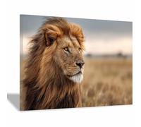 ZAMAEIU Canvas Wall Art, Lions on the prairie, Picture Wildlife Painting, Animal Canvas Artwork Modern Home for living room, bathroom, etc.(brown)-80x120cm Framed