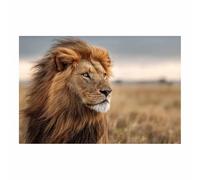 ZAMAEIU Canvas Wall Art, Lions on the prairie, Picture Wildlife Painting, Animal Canvas Artwork Modern Home for living room, bathroom, etc.(brown)-50x70cm Unframed