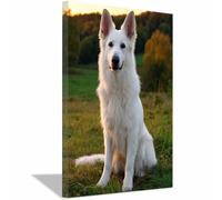 ZAMAEIU Dog Pictures For Wall Whites German Shepherd art prints and posters, Suitable for Living Room Bedroom Decor Kid's Room Wall Decoration(white)-30x50cm Framed