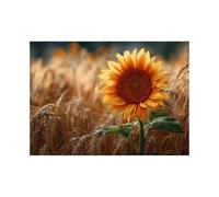 ZAMAEIU Plant Leaves Canvas Pictures Paintings Sunflower shadows in wheat fields for Living Room Bedroom Kitchen Hallway Stairs Wall Decor(yellow)-30x50cm Unframed