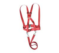 Zambuph Adjustable Strap Running Harness Offers and Durability Active Kids Playtime Adventures Making Very Stable. Can for Long Time. Shoulder Strap and Circumference of Chest, Red, 39.5cm to 63cm