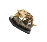 Zambuph Dinosaur Skeleton Model Ornaments for Creative Skull Bone Decoration Discipline Scientific Study Room Visualization Dinosaur Skeleton Model Ornaments