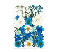 Zambuph Dry Plants Stickers DIY Tools Real Flower Decal Handicraft Pressed Specimen Label Making Postcard Nail Decorations, Type6