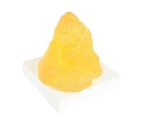 Zambuph Fat Model Human Body Fat Display Teaching Resource Demonstration Tool Health Education Product Is Made Of Gel Nutritionist Anatomical Science Course Model