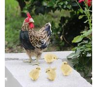 Zambuph Lifelike Chicken Home Décor Lightweight Real Life Standing Hen Chick Simulation Easy Maintenance Vivid Real Life Standing Hen With Chicks Are