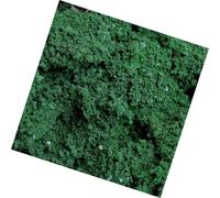 Zambuph Model Scene Making Resin Tree Powder for Building Models for Railroad Simulation Decorative, Dark Green 70g