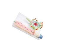 Zambuph Neuronal Cell Anatomy Model Effective Study Aid Showcasing Nerve Structures Science Teaching Supplies Neuronal Cell Model Teaching Neuron Anatomy