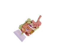 Zambuph Removerable Teaching Model Human Stomach Anatomy Enhanced Anatomical Learning Tool Medical Education Small Intestine And Large Intestine Large Small Model Anatomy Learning Tool