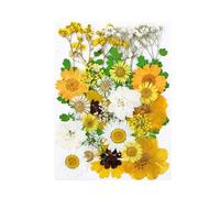 Zambuph Set Crafts Real Flower Decal Handicraft Filling Pressed Specimen Label Postcard Bookmarks Decorations, Type1