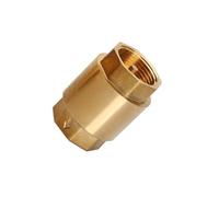 Zambuph Spring Check Valve Non-Return Cap Replaced Part Stainless Steel Compact Size Widely Applicable Practical in-Line Valves