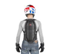 Zandonà Shield Evo x7 Back Protector Black XL