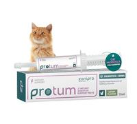 Zanipro Probiotics for Cats Paste 15ml, Cat Diarrhea Treatment, Advanced Prebiotic for Cats, Natural Diarrhea Relief for Cats, Restore Digestion, Loose Stools & Gut Balance - Catnip Flavoured