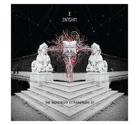 Zanshin - The Humdrum Conundrum EP [VINYL]