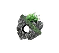 Zanthicia Aquarium Decor Rockery Multifunctional Pieces Fish Tank Decoration Provides Utility And Aesthetics In One For Aquatic Owners Arch Bridge Aquarium Garden Decor Tank Landscape, Green, M